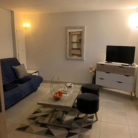 Comfortable Free Parking Studio C2 Geneve Appartement *