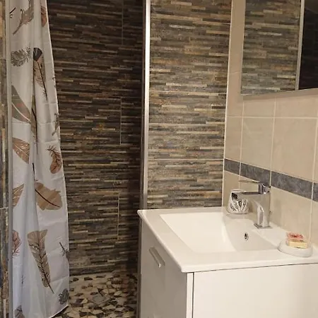 Comfortable Free Parking Studio C2 Geneve Gaillard